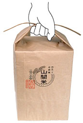 �e�܁F��ɂ����邱�Ƃ���ڂł킩��`��