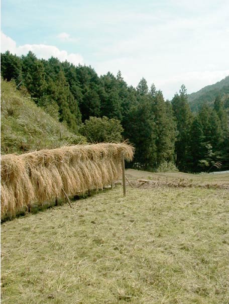 �I�c�ł̈�؂����̕��i