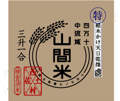 ��؂����V������