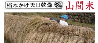 ��؂����V�������@�R�ԕ�