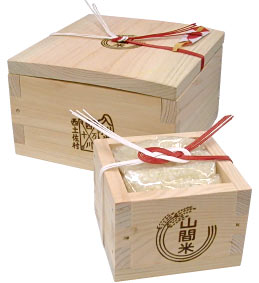 �j�e�i���킢�܂��j