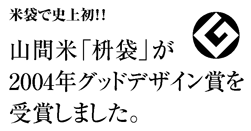 2004�N�O�b�h�f�U�C���܎��