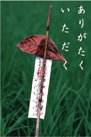 ���肪������������