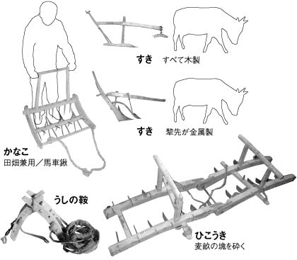 ����i���̂P�j