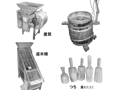 ����i���̂S�j